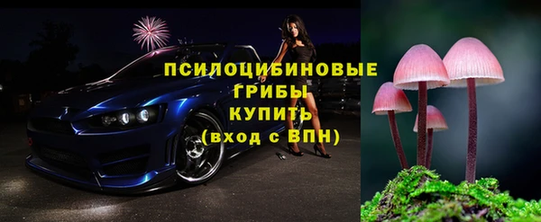прущие крисы Гусиноозёрск