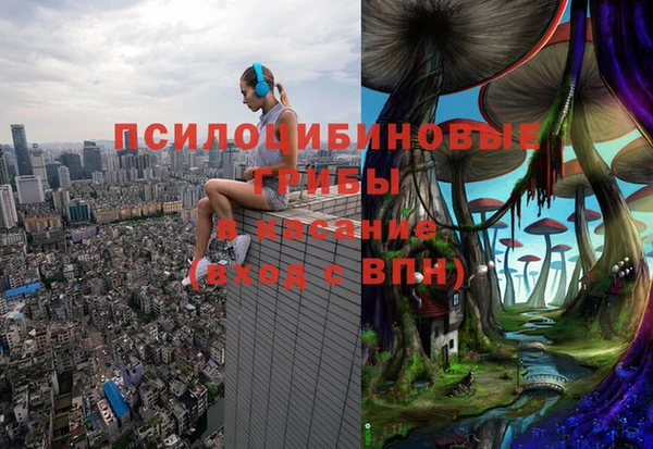 кокс Нягань