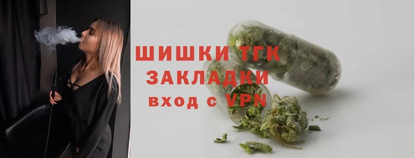 ALPHA PVP Гусев