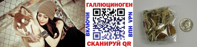 Псилоцибиновые грибы Psilocybe  Певек 